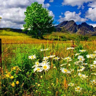 land loans